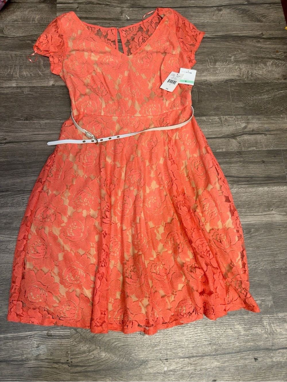 J. Taylor NWT Coral Floral Lace Fit & Flare Dress Size 8 Belted - Picture 2 of 11